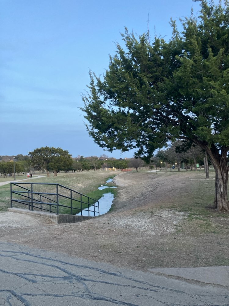 walking near me in Carl Levin Park in winter