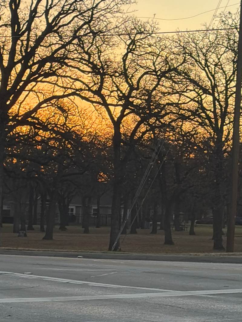 walking near me in Willis Coves Preserve in winter
