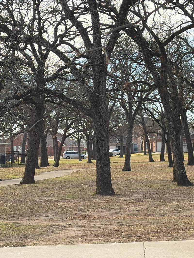 walking near me in Willis Coves Preserve in winter