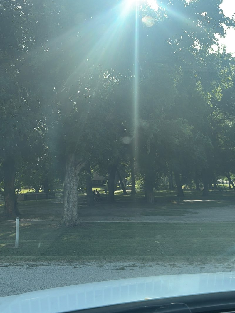walking near me in Lindsay Park in summer