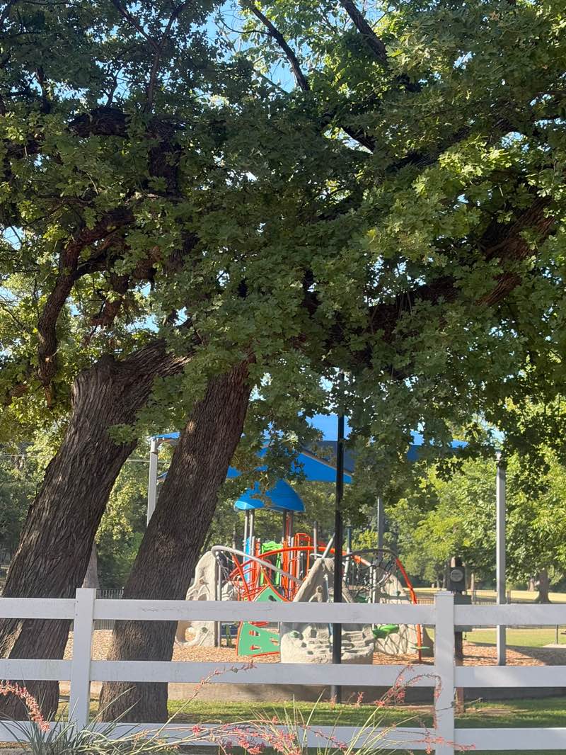 walking near me in Brook Hollow Park in summer