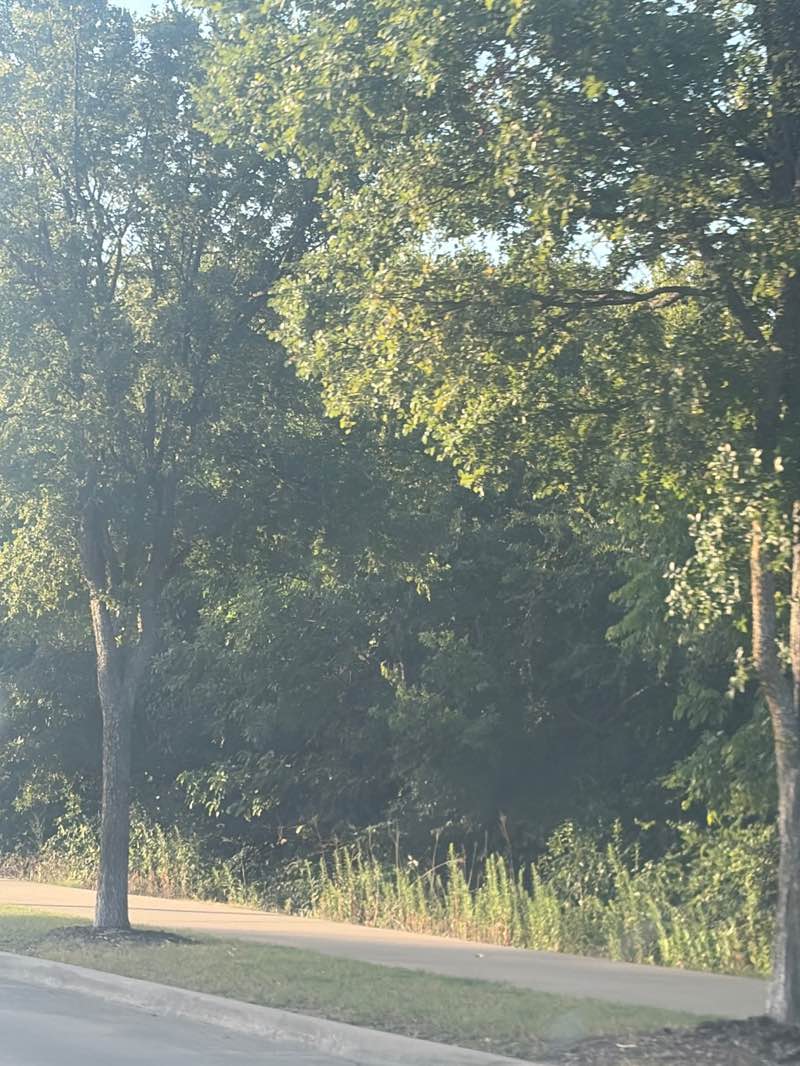 walking near me in Keller Town Center Field in summer