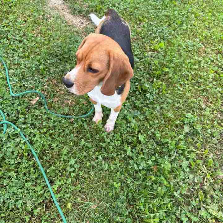 Хайпарики Наталья post image