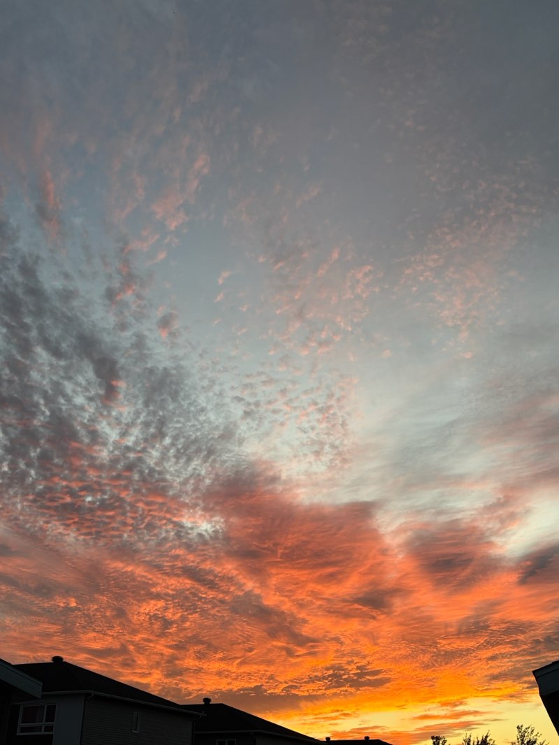 walking near me in Parc Colonial in autumn