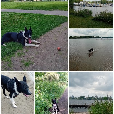 DIGITAL FOOTPRINT TEST Ilse Spruit 🇳🇱 post image