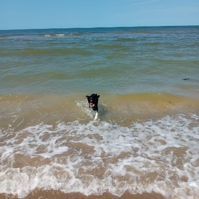 DIGITAL FOOTPRINT TEST Ilse Spruit 🇳🇱 post image