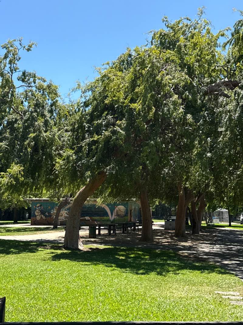 walking near me in Sorendale Park in summer