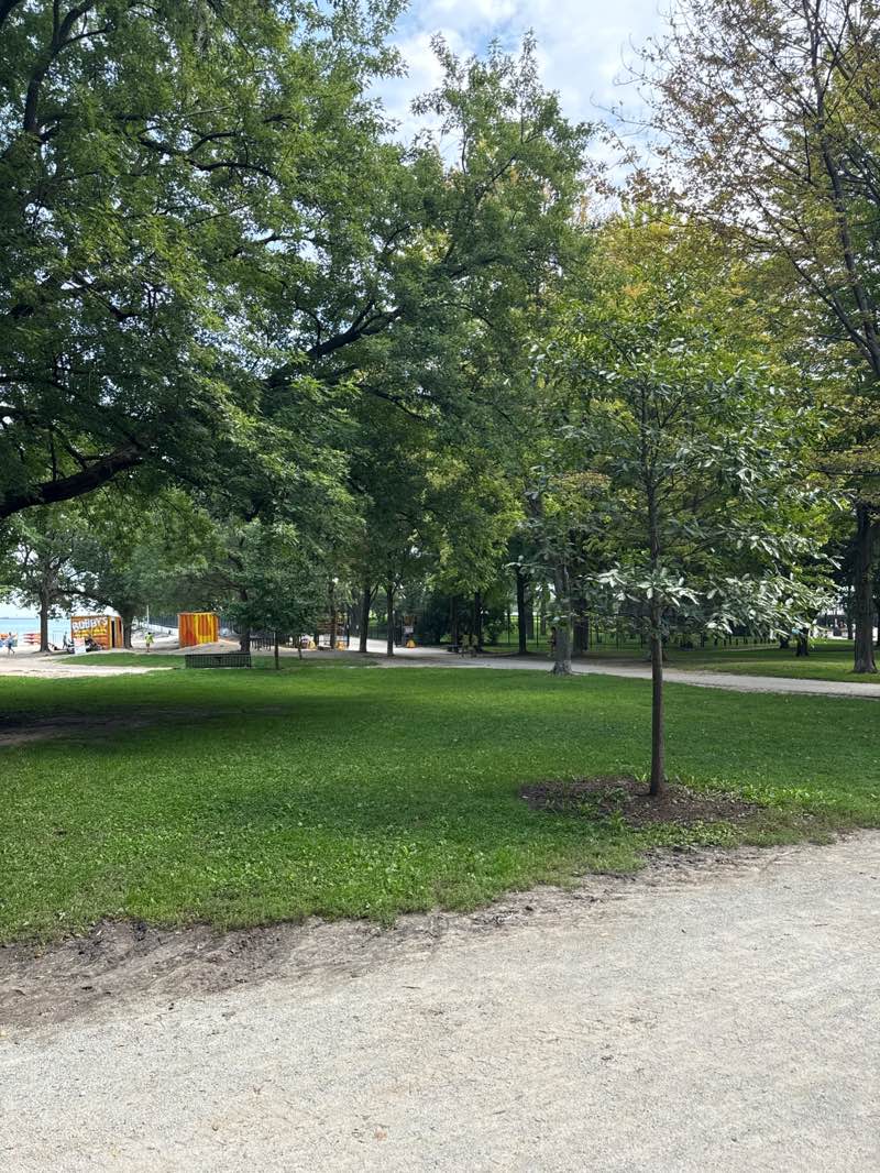 walking near me in Jane Addams Memorial Park in summer