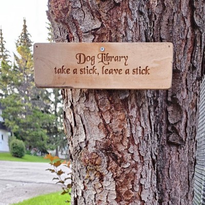 Rogers Walking Social Club Jing Li post image