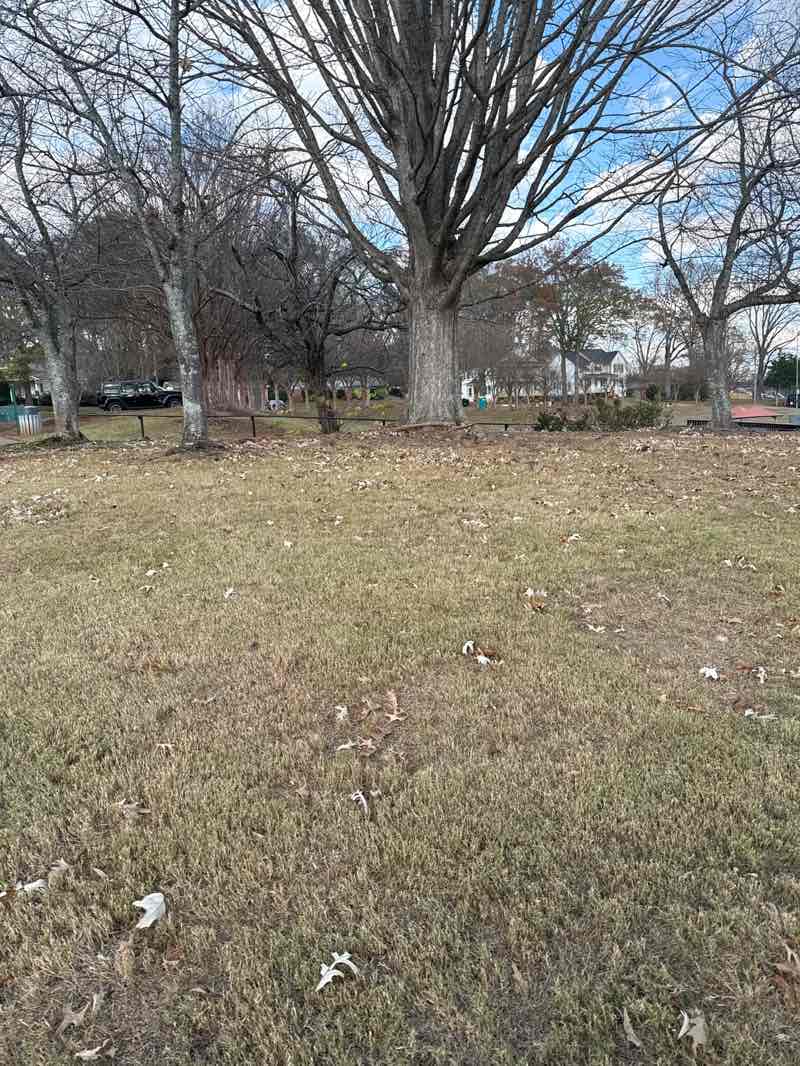 walking near me in Lewis Park in autumn