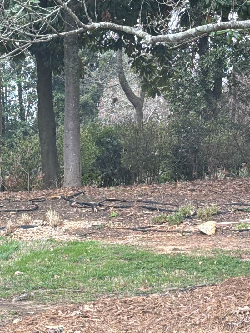 walking near me in Marietta First United Methodist Church Park in spring