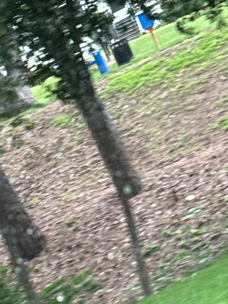walking near me in Victory Park in summer