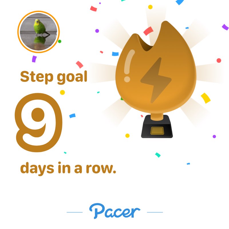 KingDuckie-44 post 1