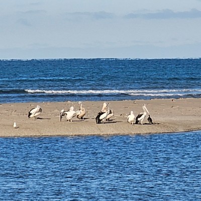 Tata Family Chevell Tata post image