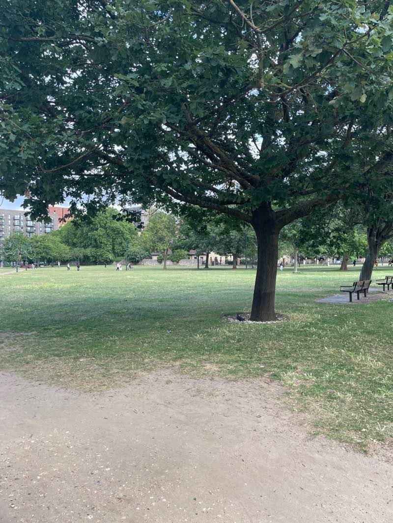 walking near me in Abbey Green in summer