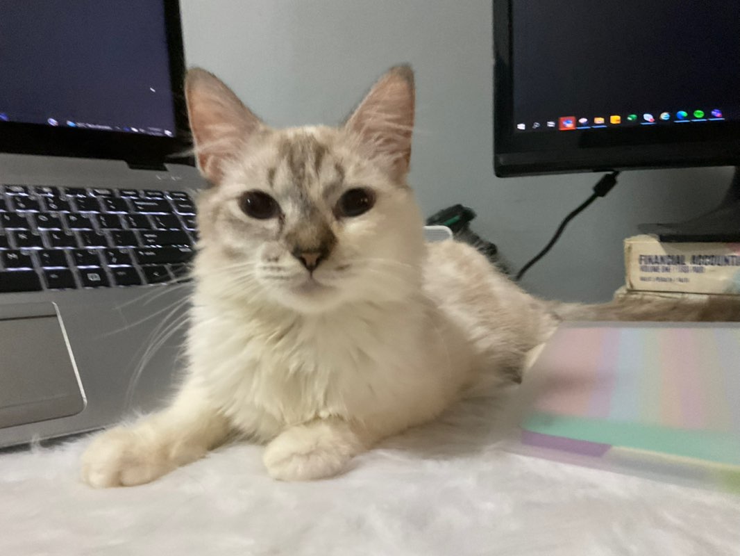 @_amaezzzing profile