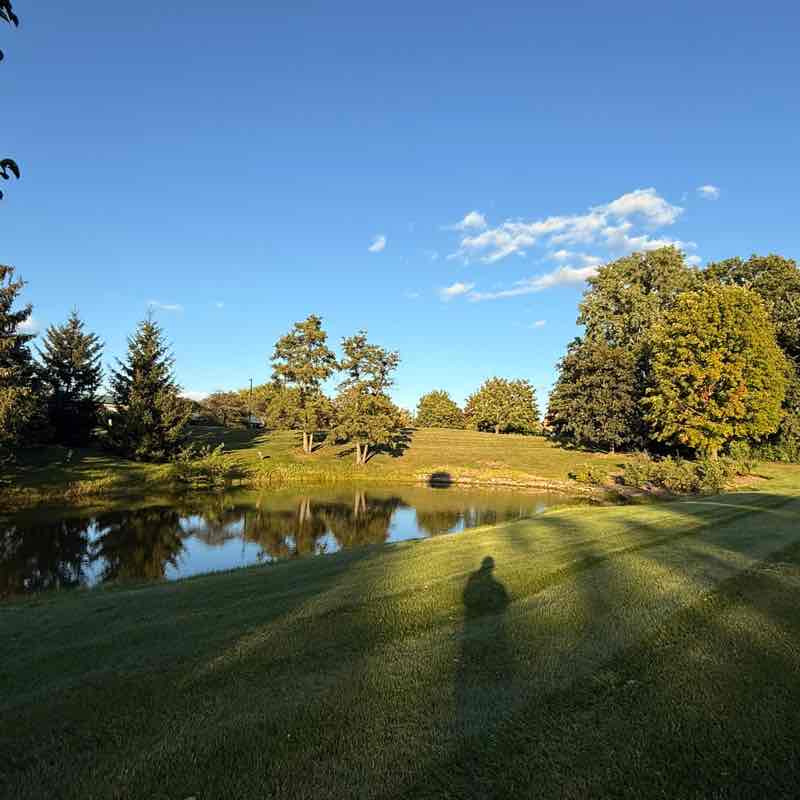 Leonardo Tavaniello post 1