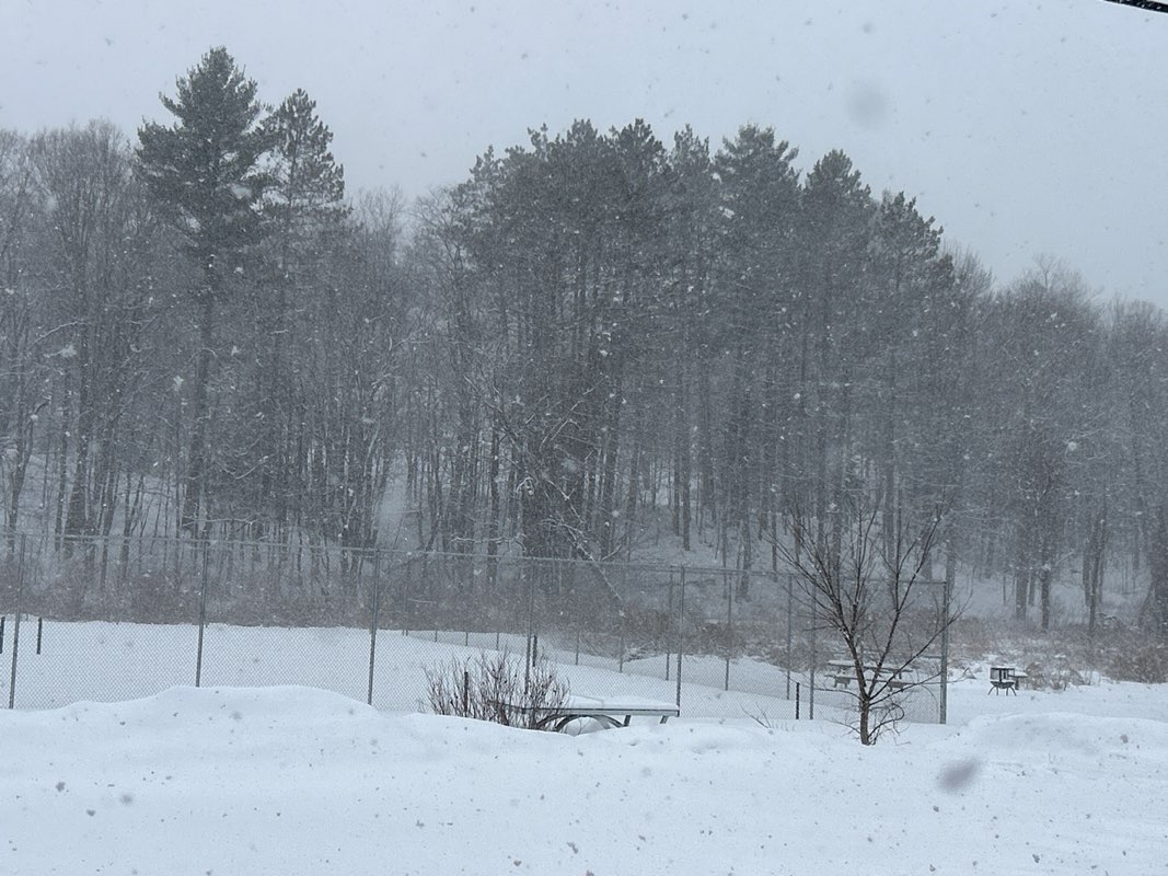 walking near me in Baker Field in spring