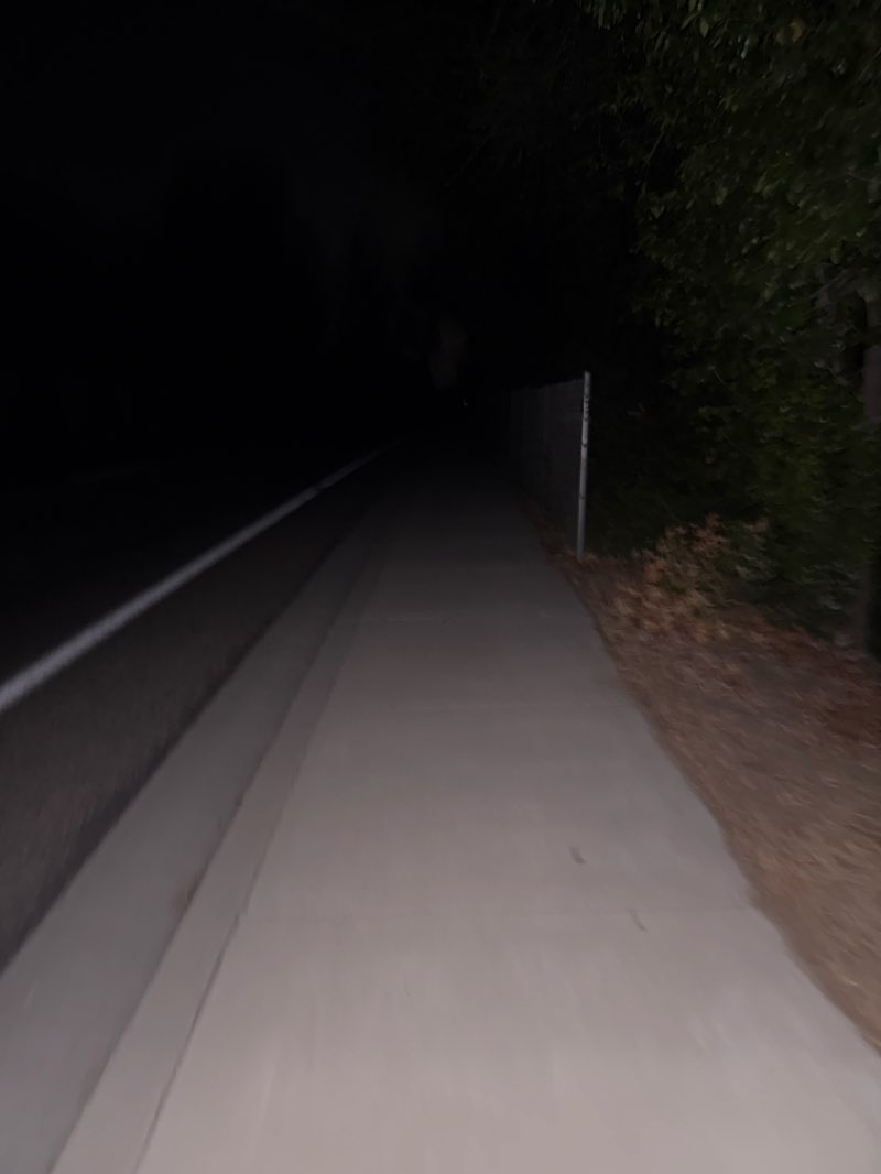 walking near me in Los Jilgueros Preserve in autumn