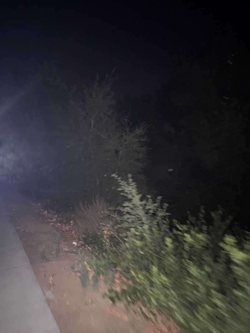 walking near me in Los Jilgueros Preserve in autumn