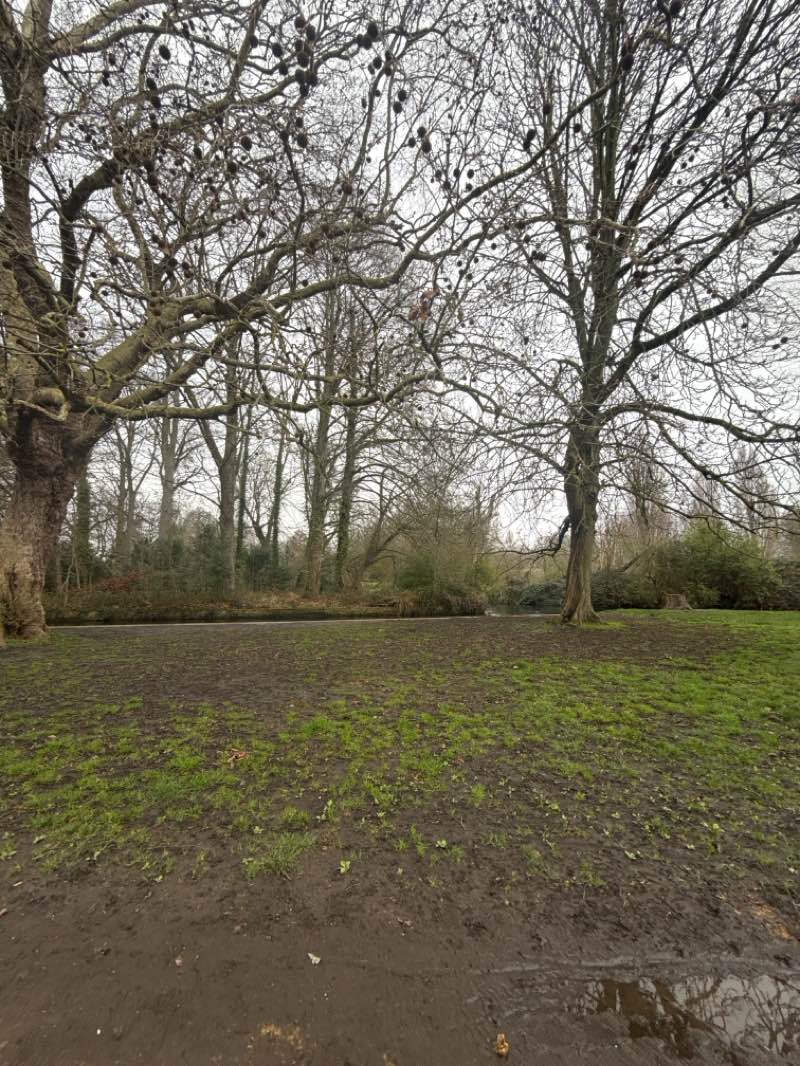 walking near me in Morden Hall Park in spring