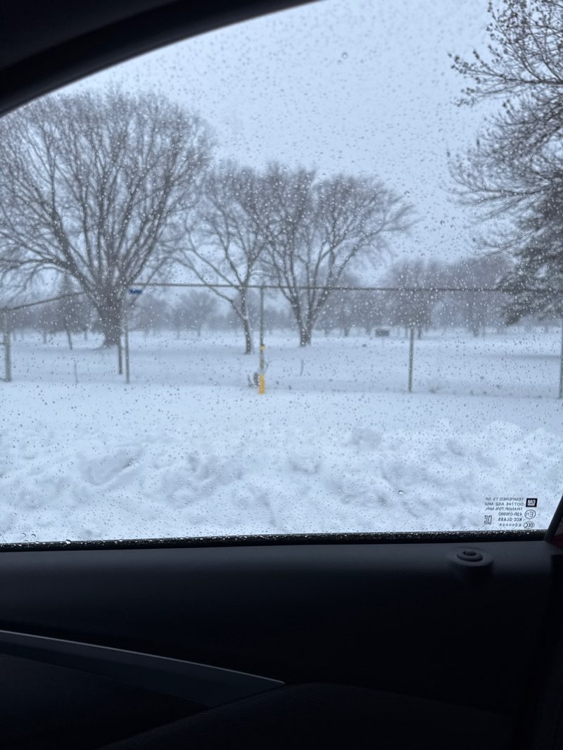 walking near me in Soldiers Field Memorial Park in spring