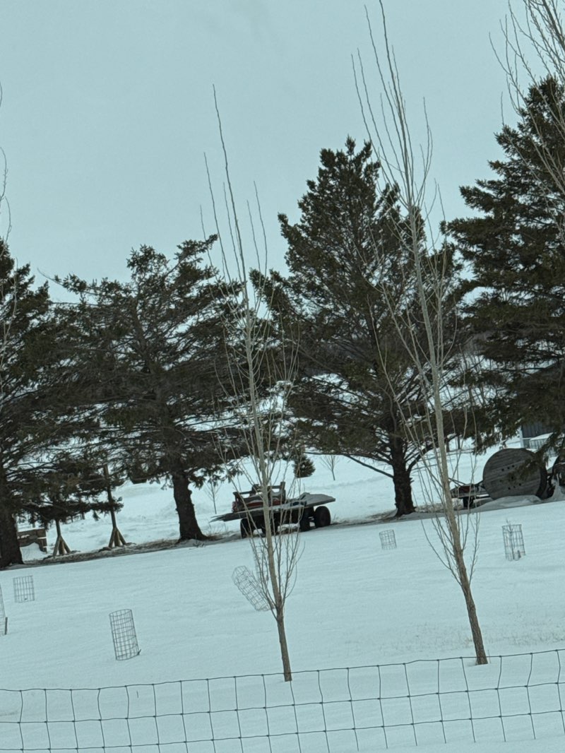 walking near me in Tweite's Pumpkin Patch in spring