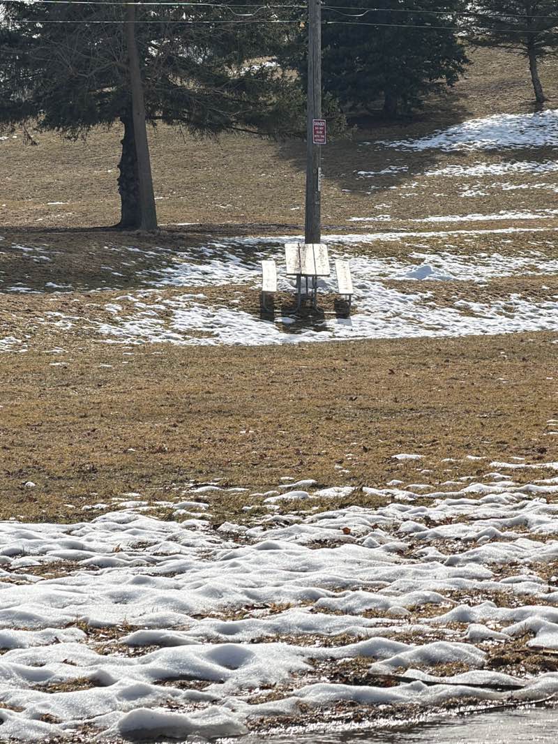 walking near me in Judd Park in spring