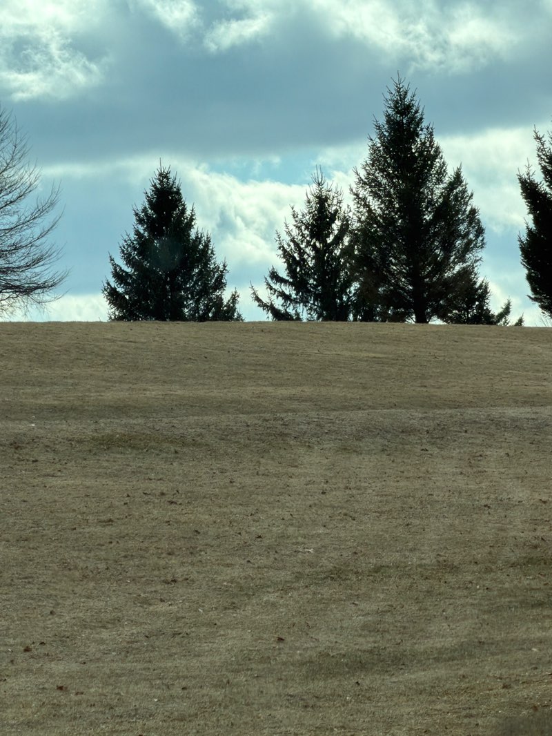 walking near me in Manor Park in spring