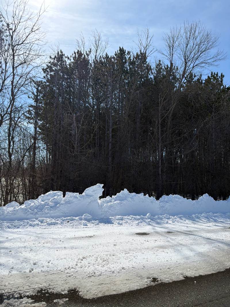 walking near me in Douglas State Trail in spring