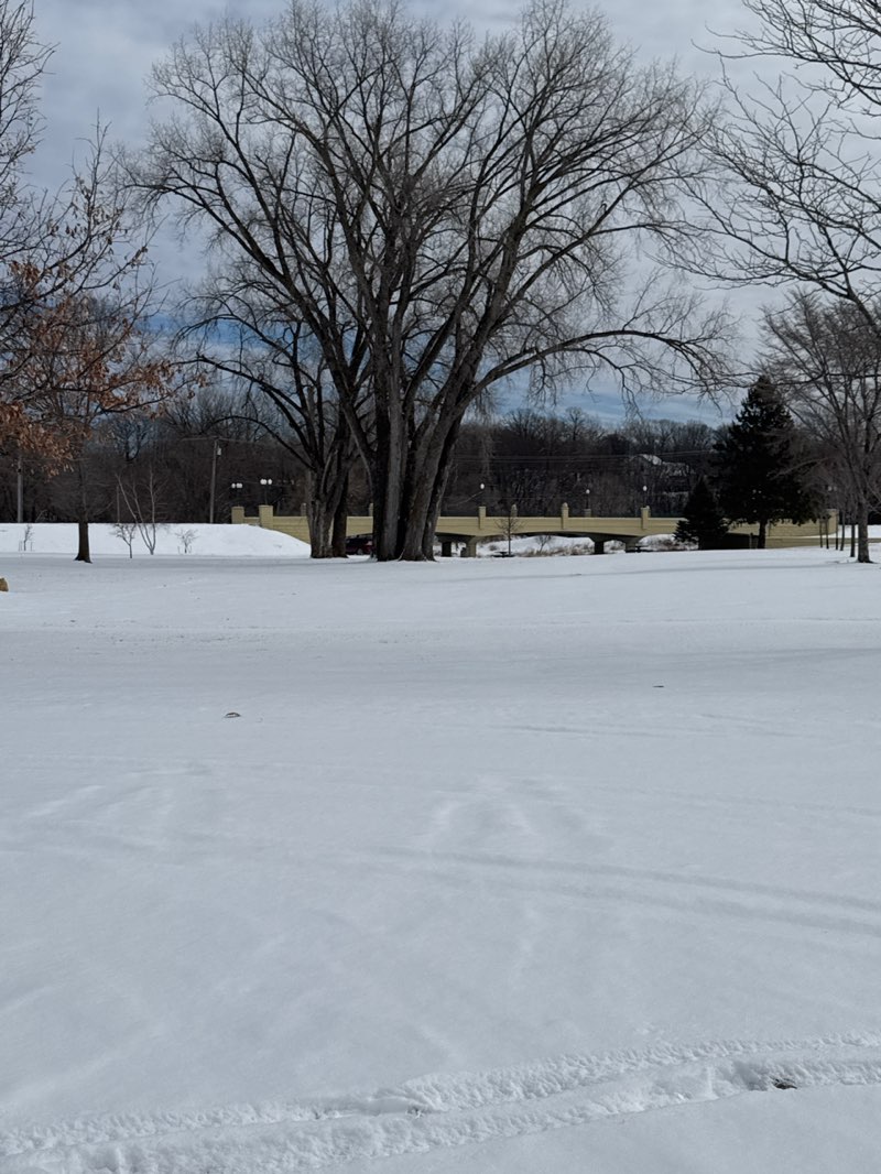 walking near me in Riverside Park in spring