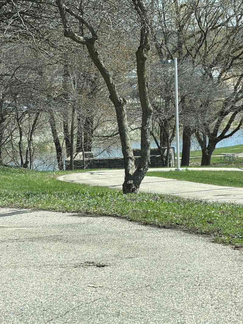 walking near me in Thompson Mill Race Park in spring