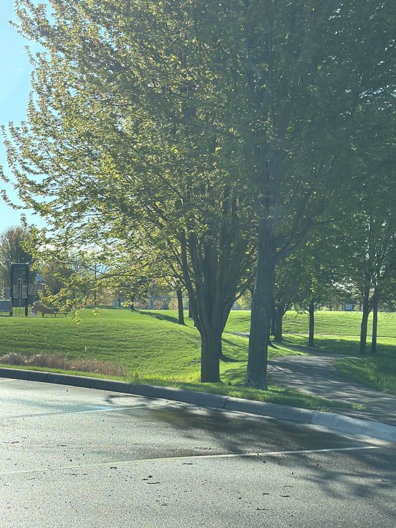 walking near me in Preserve Park in spring
