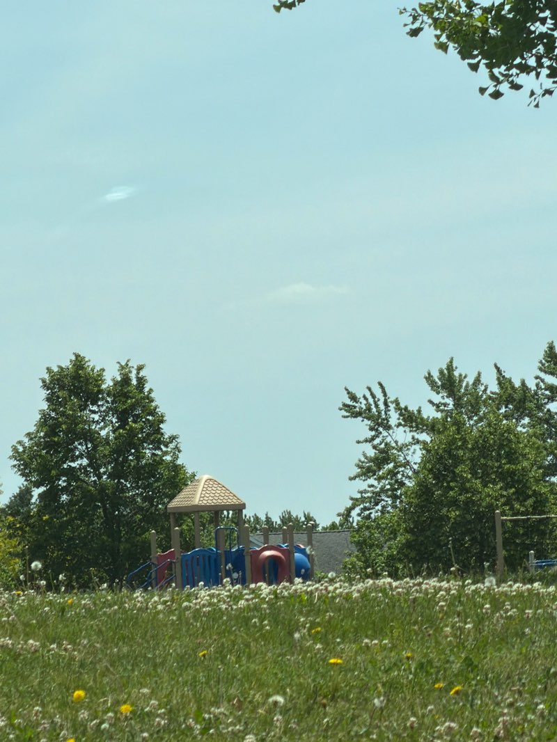 walking near me in North Park in summer