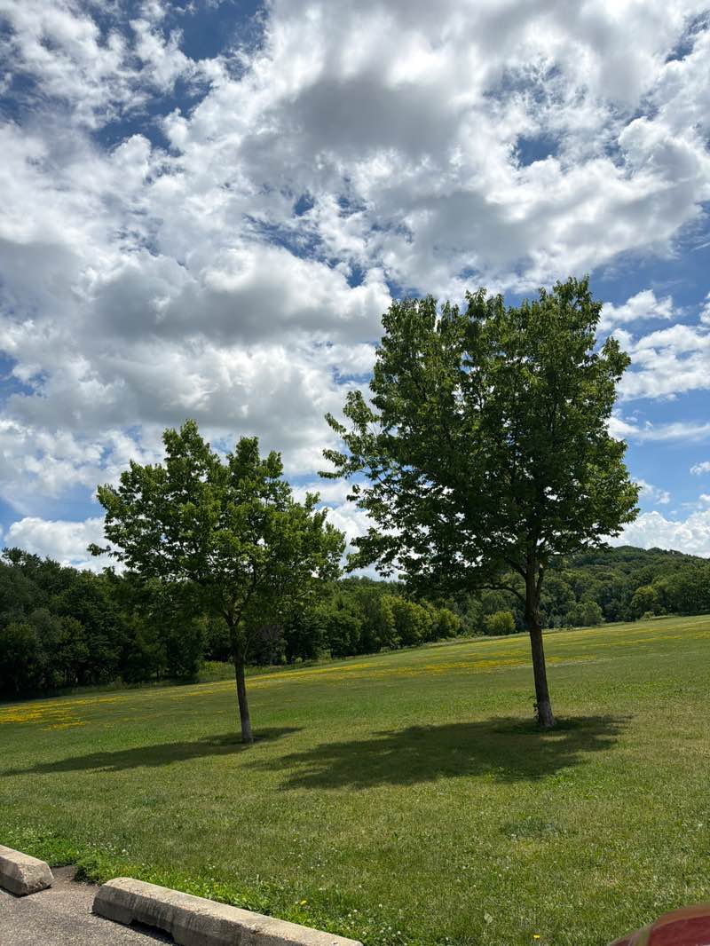 walking near me in Riverview West Park in summer