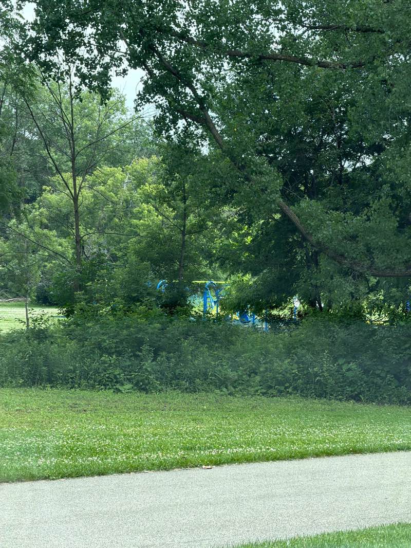 walking near me in Parkwood Hills Park in summer