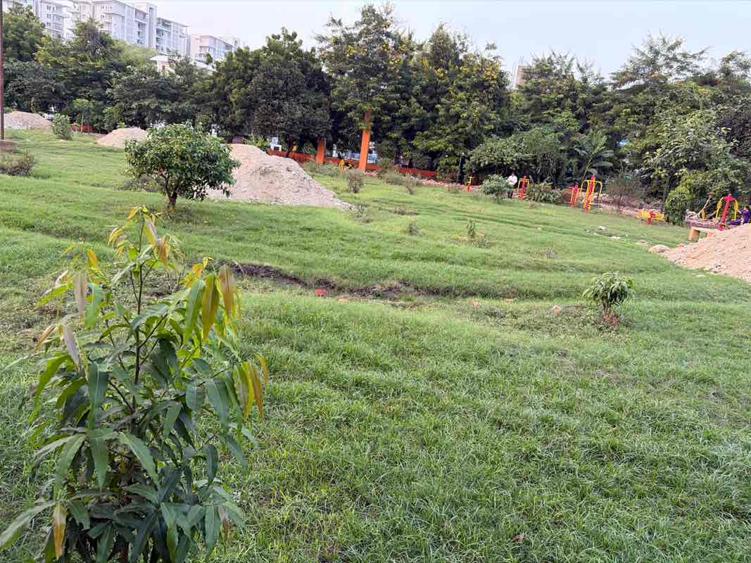 walking near me in Rose Park in autumn