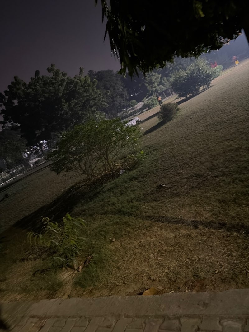 walking near me in Sundaram Park in winter