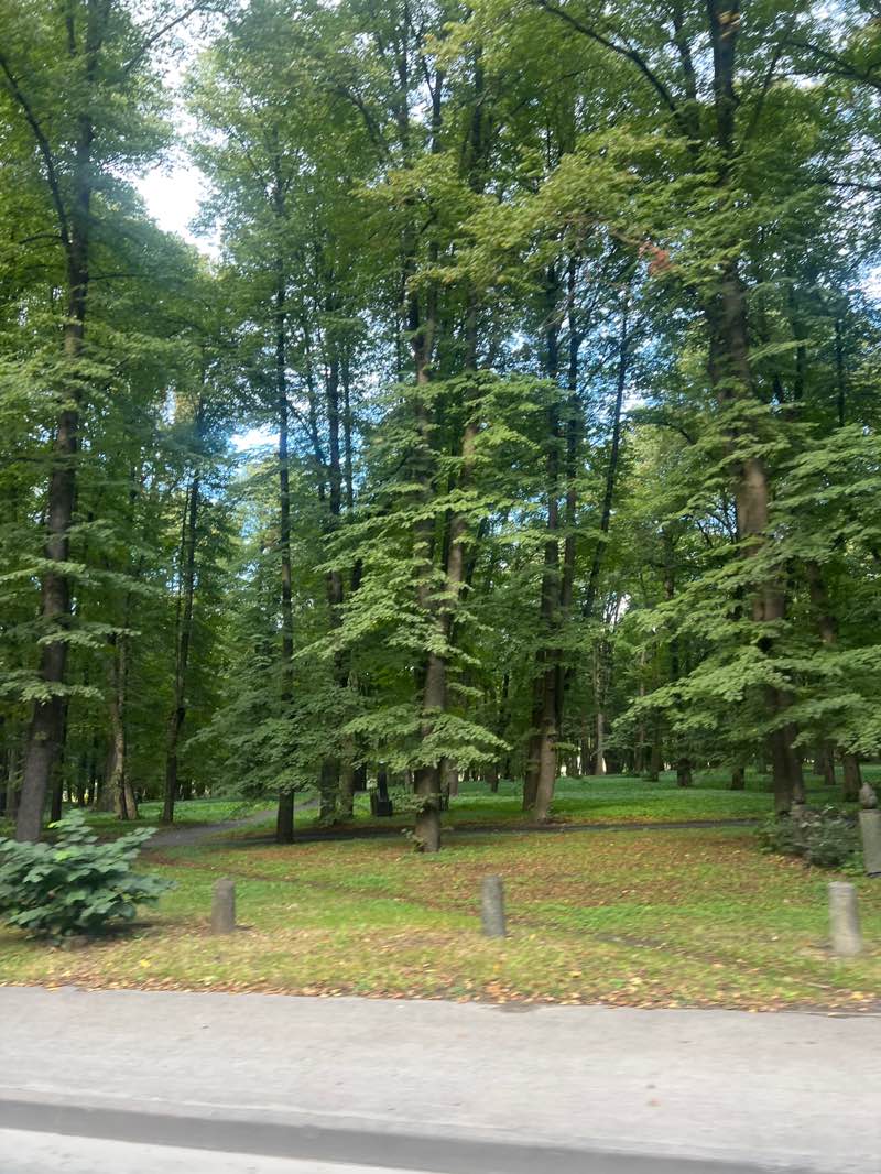 walking near me in Rīgas Lielie kapi in autumn