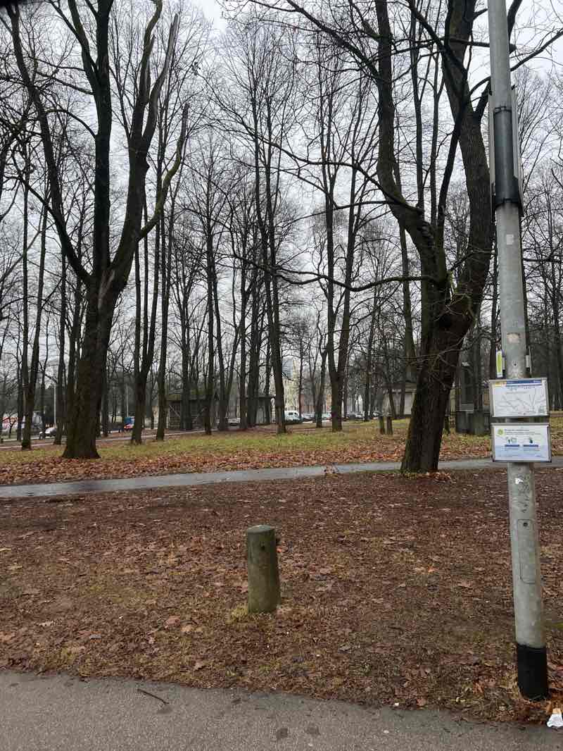 walking near me in Jēkaba kapi in winter