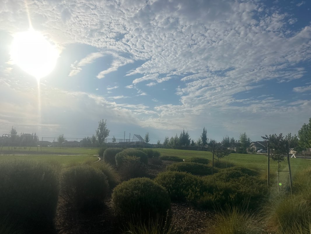 walking near me in Feather River East Park in autumn
