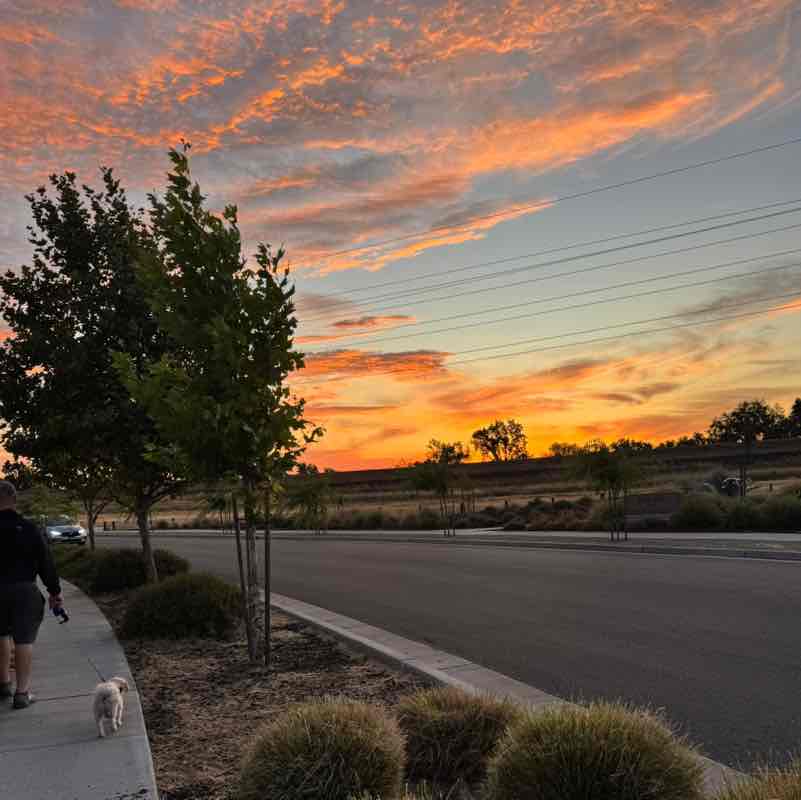 100,000 steps in 30 days Erik Camacho post image