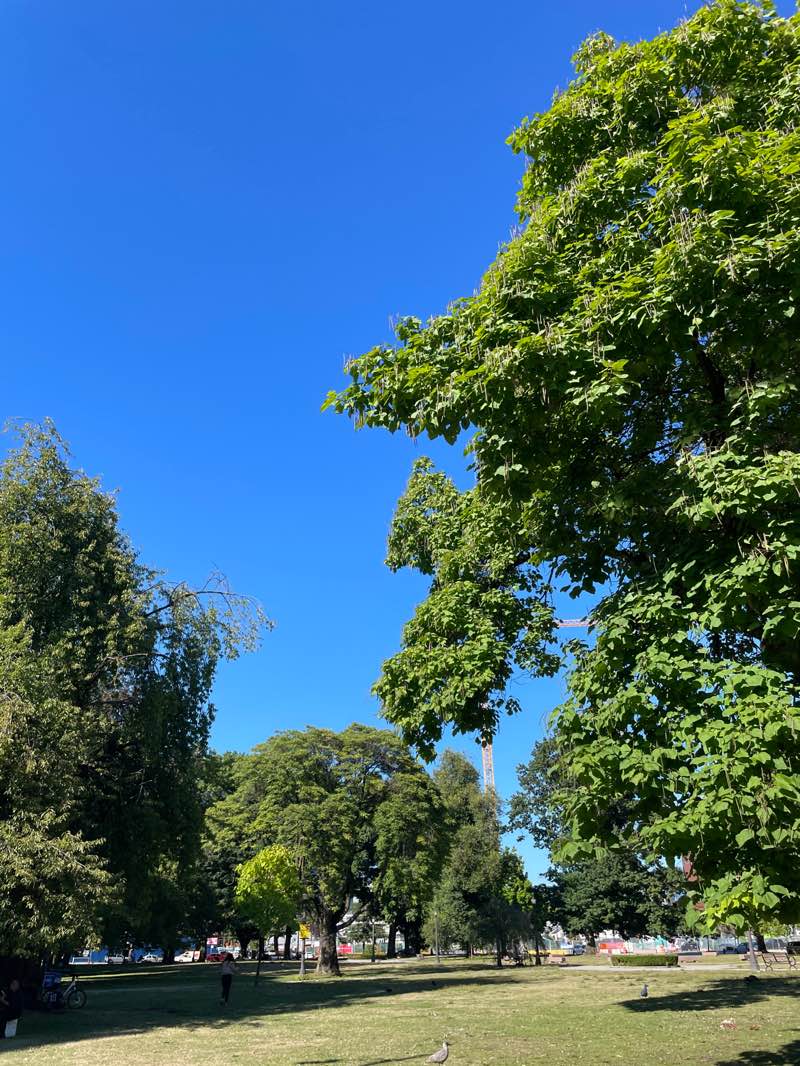 walking near me in Thornton Park in autumn