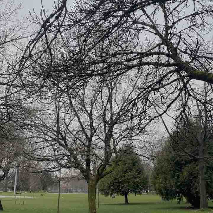 sabrina🎀🪽 post 2