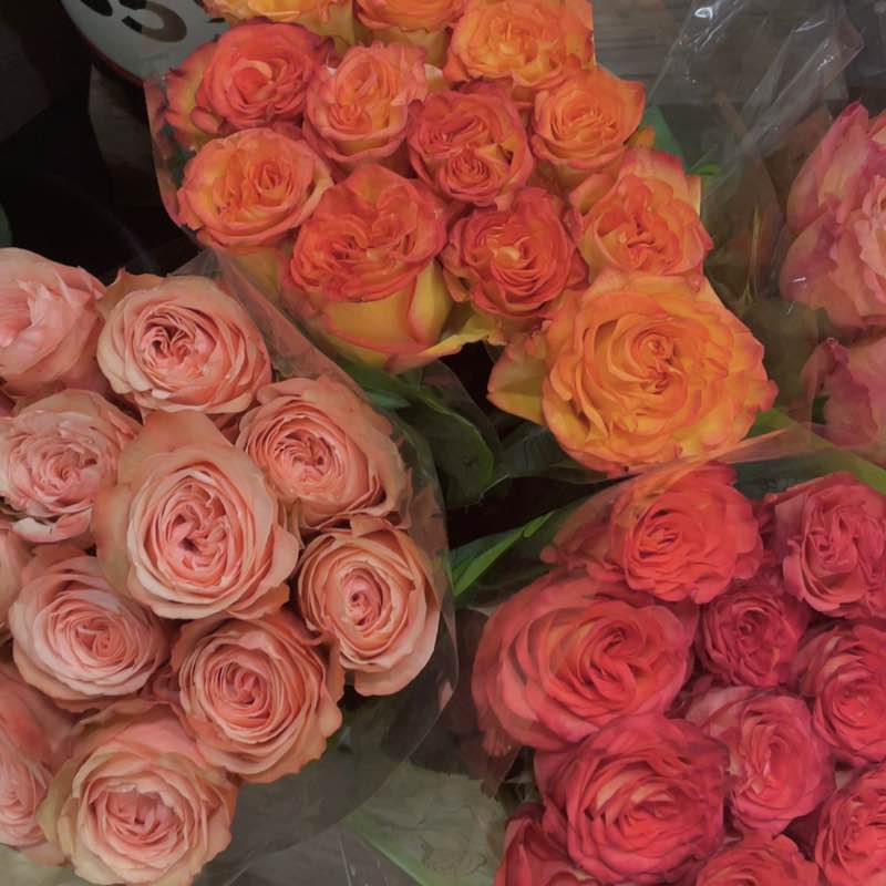 sabrina🎀🪽 post 3