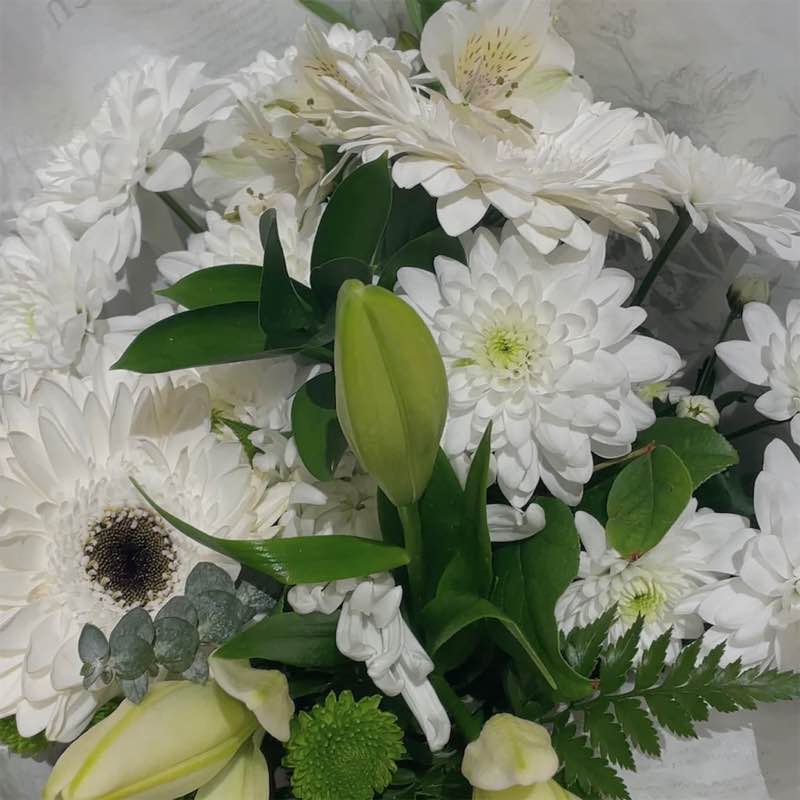 sabrina🎀🪽 post 2