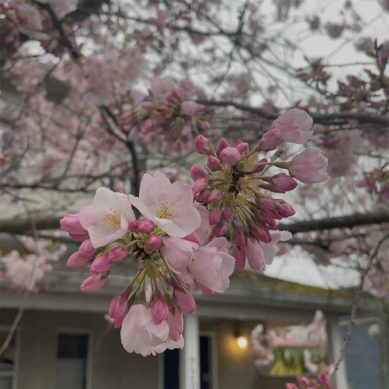 sabrina🎀🪽 post 3