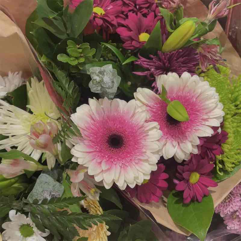 sabrina🎀🪽 post 2