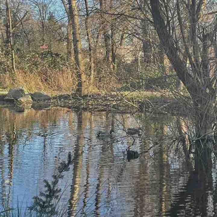 sabrina🎀🪽 post 2