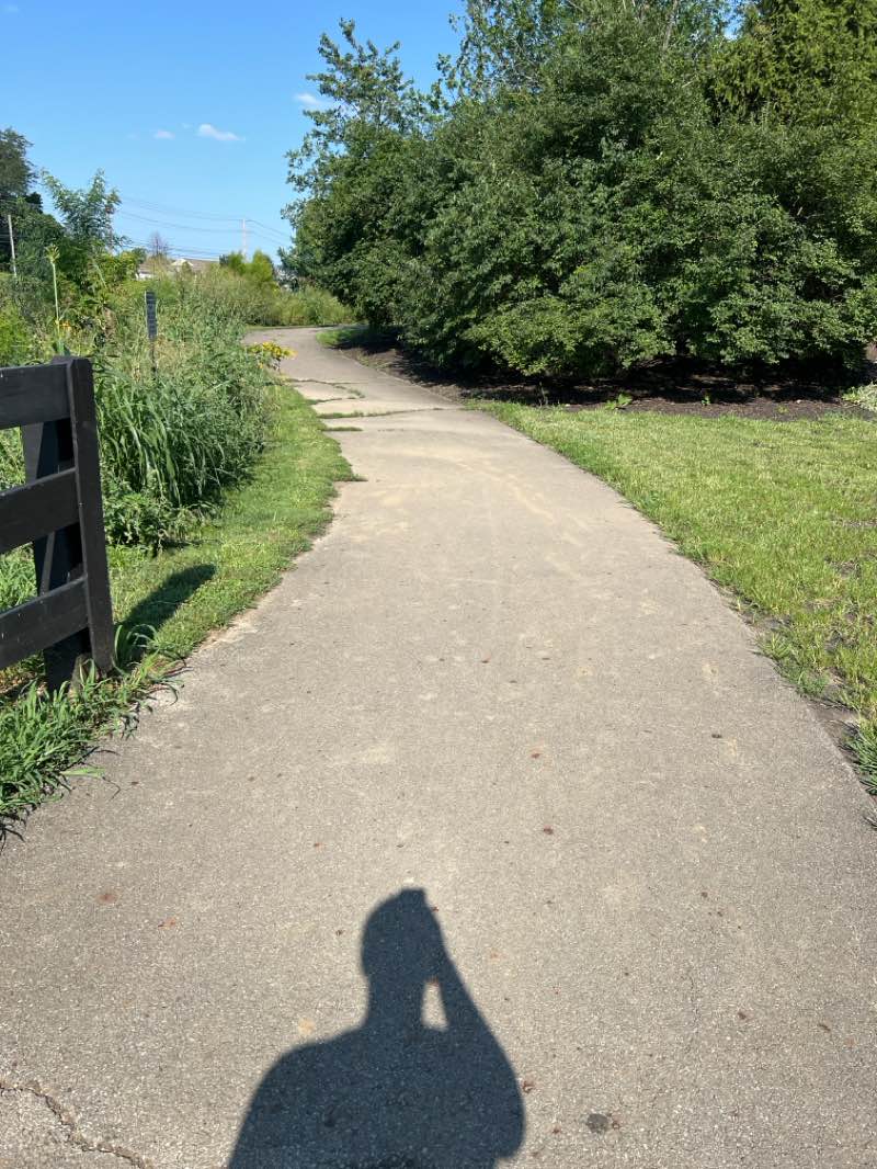 walking near me in Gantz Park in autumn